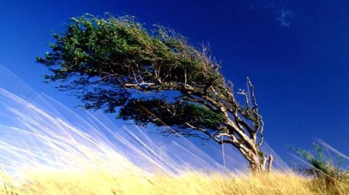 Küləkli hava şəraiti ilə bağlı sarı və narıncı - XƏBƏRDARLIQ 