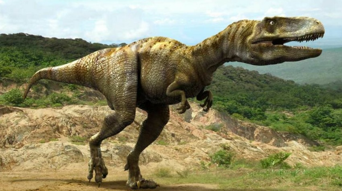 Dörd yaşlı qız 200 milyon il yaşı olan dinozavrın  izini tapdı