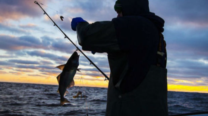 Kürdə brakonyer dövlət qurumunun qayığını yandırdı: Xəsarət alan var 