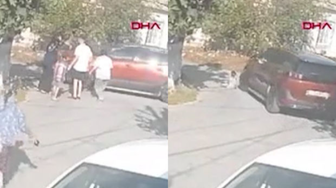 Uşağın pişik sevdası onun ölümü ilə nəticələndi  - VİDEO