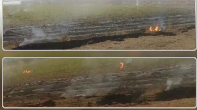 Cəlilabadda yanğın törədən şəxslər məsuliyyətə cəlb olunublar - FOTO