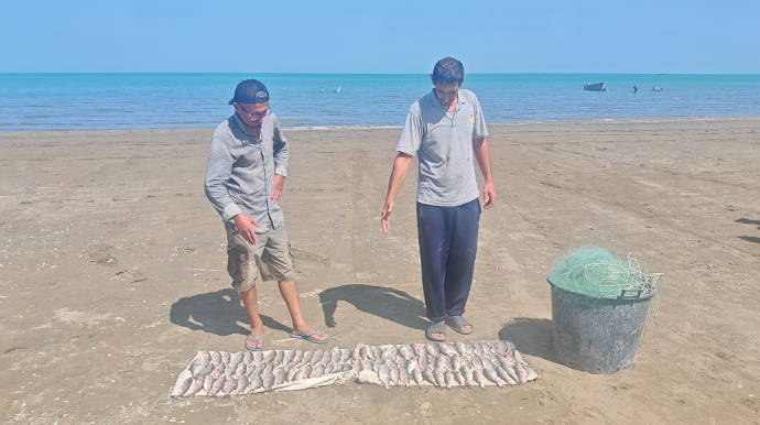 Qanunsuz balıq ovu hallarını aşkarlamaq üçün reydlər davam edir - FOTO