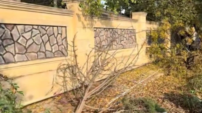 Cəlilabadda avtomobil qəza törətdi - 4 ağac yerindən çıxdı - FOTO