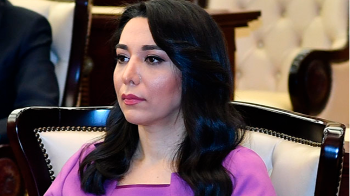 Ombudsman bu gün baş verən erməni təxribatından danışdı