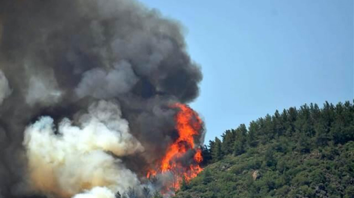 Türkiyədə 12 meşə yanğınından 7-si söndürülüb