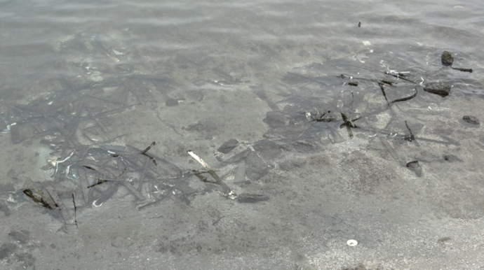 Bakı Buxtasının sualtı problemləri gündəmdə - VİDEO