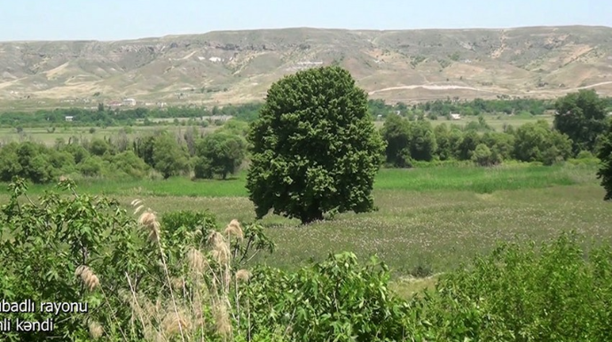 Qubadlının Tinli kəndi - VİDEO
