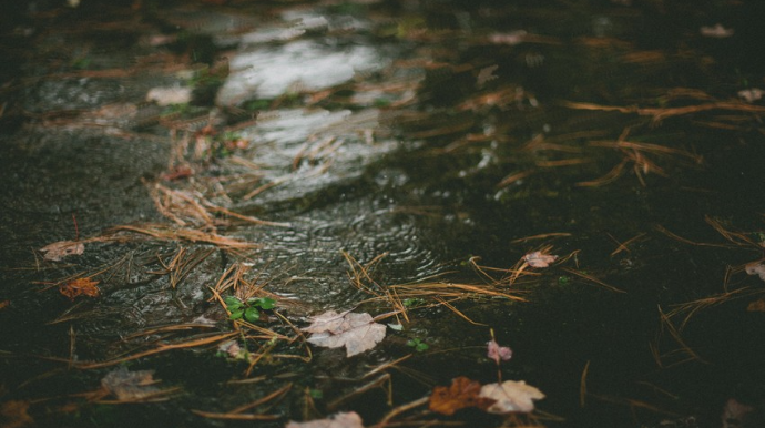 Sabahın hava proqnozu açıqlanıb 