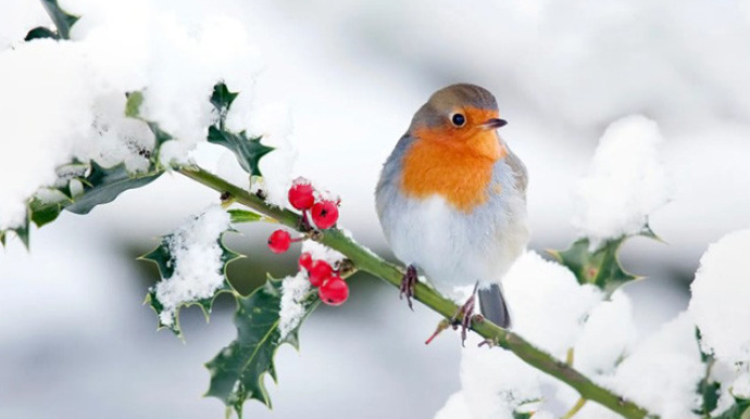 Kəlbəcər və Şahdağa qar yağdı