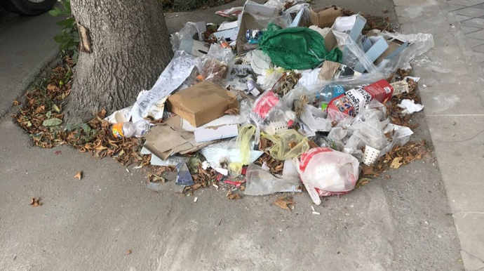 Qəbələdə ətraf mühiti çirkləndirən şəxslər cərimələndi