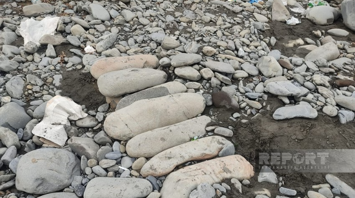 Balakəndə repressiya qurbanlarına aid olduğu güman edilən qəbirlər aşkarlanıb  - FOTO
