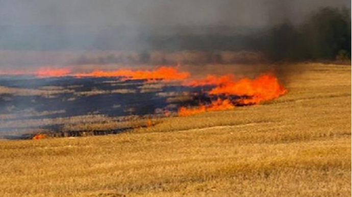 Füzulidə minalı sahə yanır, helikopter göndərildi 