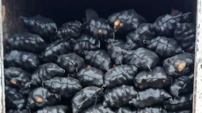 İrandan gətirilən 71 ton kartofda  zərərli orqanizm aşkarlandı