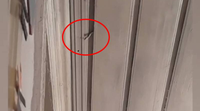 Azərbaycanda uşaq bağçasında DƏHŞƏT   - VİDEO