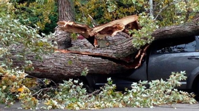 Bakıda üç nəfərin üzərinə çinar aşdı 