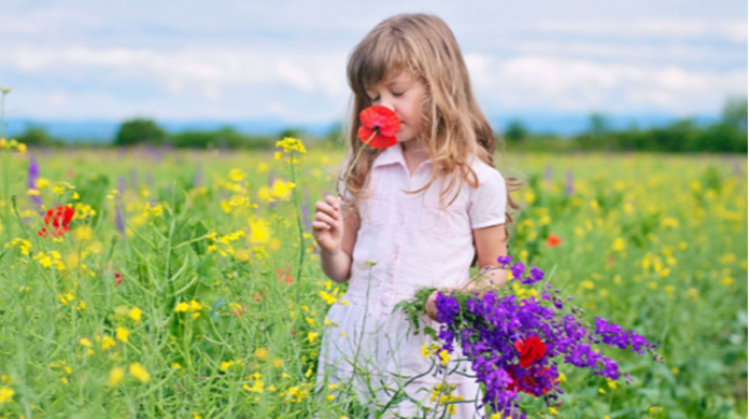 İyulda hava necə olacaq? 