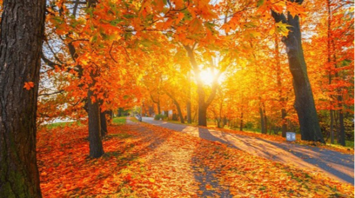 Sabah 28 dərəcə isti olacaq