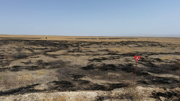 Cəbrayılda yanğına səbəb olan şəxslər saxlanıldı - FOTO