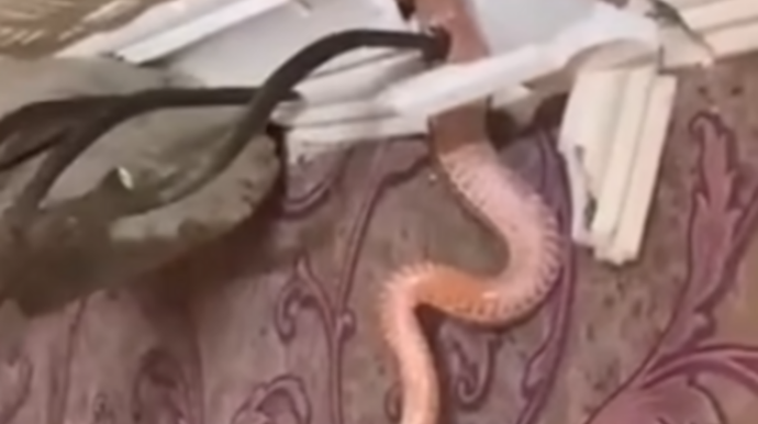 Evin tavanından qızıl ilan çıxdı - Azərbaycanda ailənin qorxulu anları - VİDEO