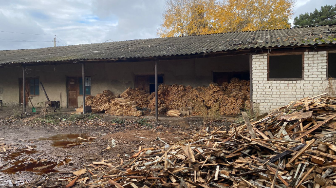 Xaçmazda qanunsuz ağac emalı aşkar edilib  - FOTO