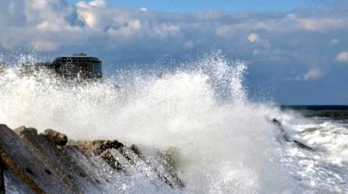 Elm dünyasında sensasiya: 200 illik ömrün açarı tapıldı 