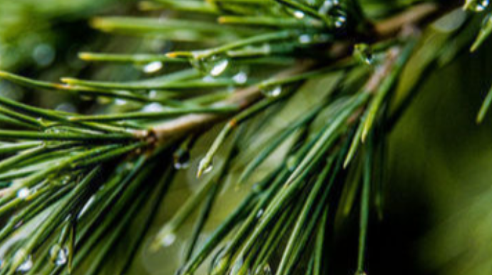 Yağıntılı hava şəraitinin davam edəcəyi tarix AÇIQLANDI 