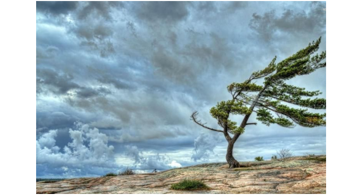 Sabahın hava proqnozu AÇIQLANDI