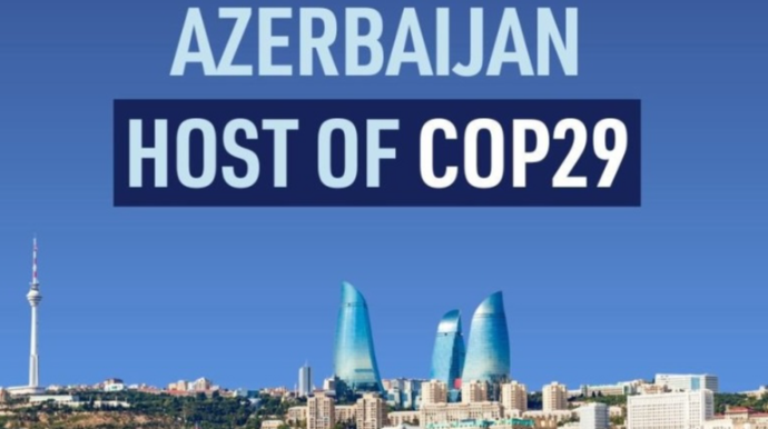 Активизирована система выдачи электронных спецвиз участникам COP29 