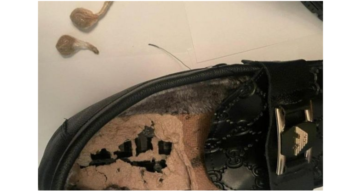 Житель Ширвана пытался передать отбывающему срок соседу наркотики