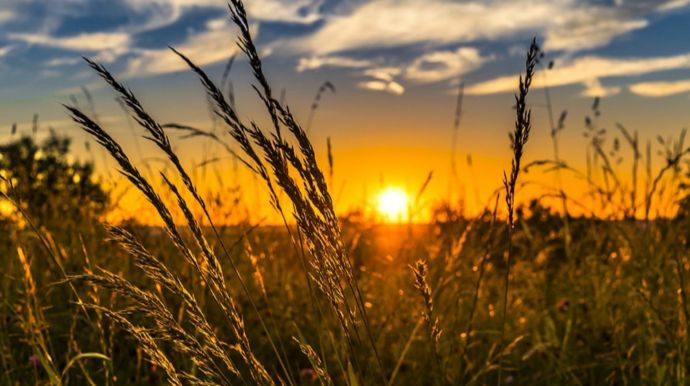 Aprel ayının son gününün havası açıqlanıb 