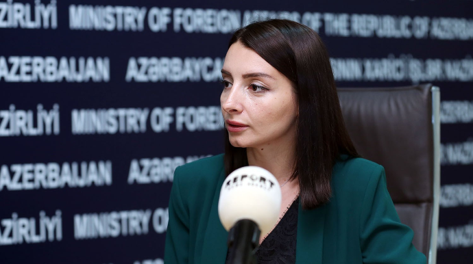Leyla Abdullayeva Ermənistan XİN-ə cavab verdi 