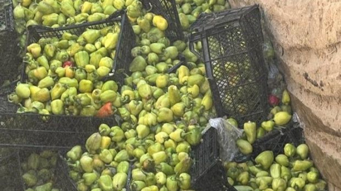 В импортированной из Ирана продукции обнаружен опасный патоген