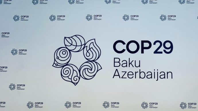 COP29 Akademiyasının fəaliyyətinə start verilib 