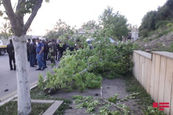 Gəncədə minik maşını ağaca çırpılıb - FOTO