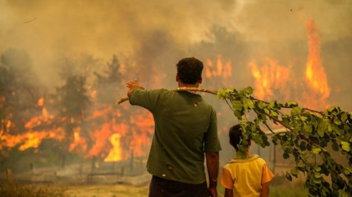 Türkiyədəki meşə yanğınlarının maddi zərəri açıqlanıb  - VİDEO