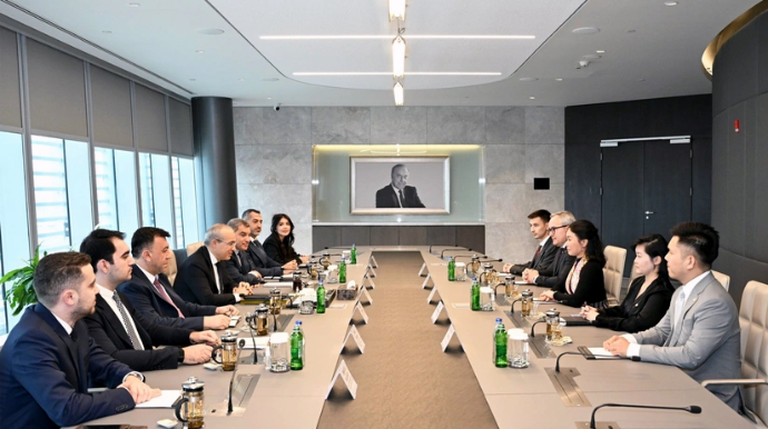 Azərbaycan və Vyetnam elektromobillərin birgə istehsalını nəzərdən keçirir - FOTO