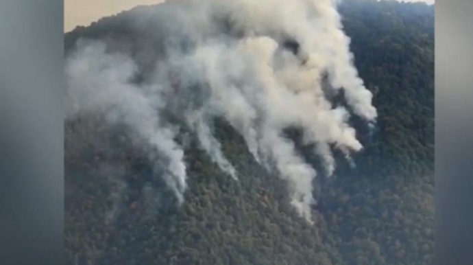 Zaqatalada yanğınların söndürülməsinə 3 helikopter cəlb edilib  - VİDEO