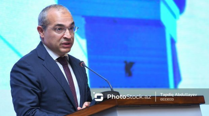 Министр: Предпринимателям выплачено 67,9 млн манатов субсидий  - ФОТО