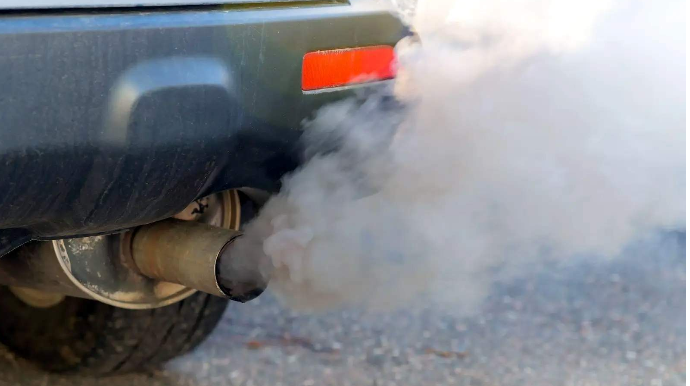 Qarajda avtomobildən 4 gəncin meyiti tapıldı – 2 kişi, 2 qadın, spirtli içki... - FOTO