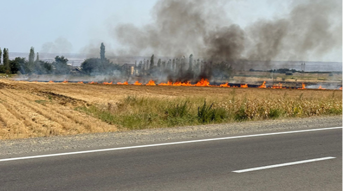 Kəlbəcərdə yanğın başladı