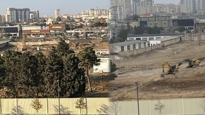 “Ağ Şəhər”də ağacları qıran 2 nəfər saxlanıldı - FOTOLAR 