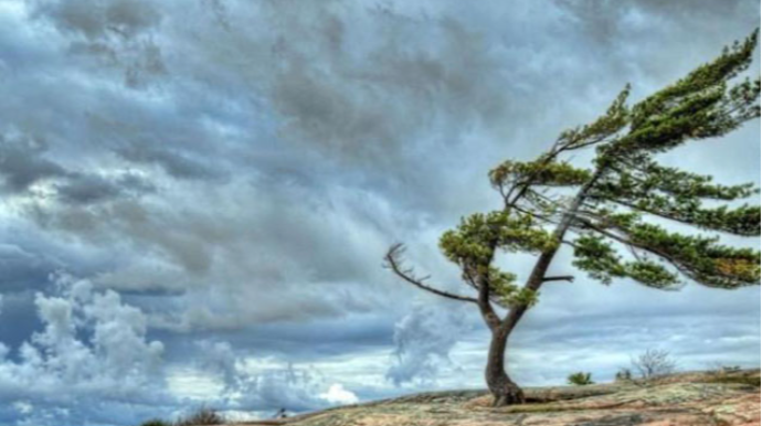 Növbəti 2 gündə güclü külək əsəcək - Xəbərdarlıq 