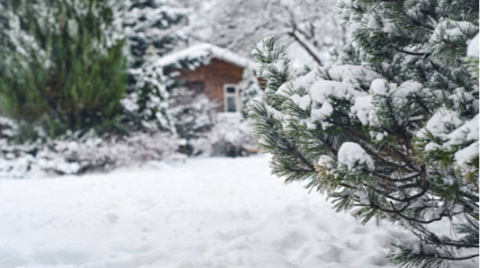 Bəzi ərazilərə qar yağır - Faktiki hava