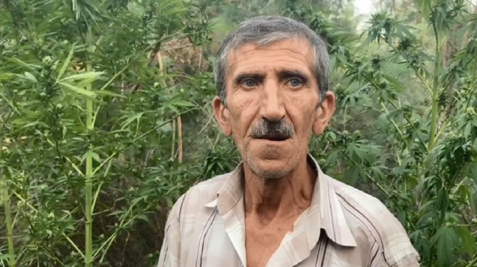 Kür çayının sahilində narkotik yetişdirən üç nəfər şəxs saxlanılıb - FOTO