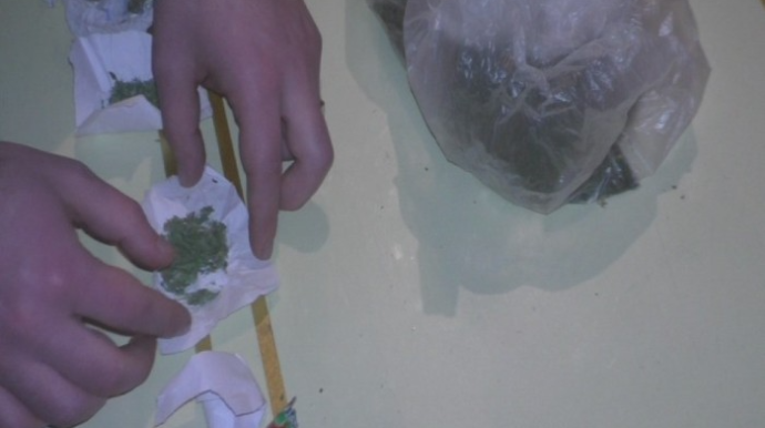 Göyçayda çətənə bitkiləri yetişdirən şəxs saxlanıldı - FOTO 