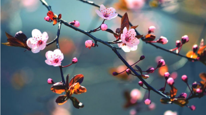 Прогноз погоды в Азербайджане на 27 апреля