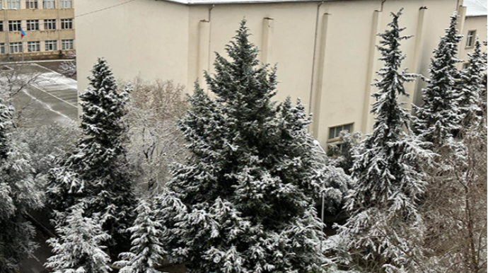 Bu universitetdə dərslər təxirə salındı 