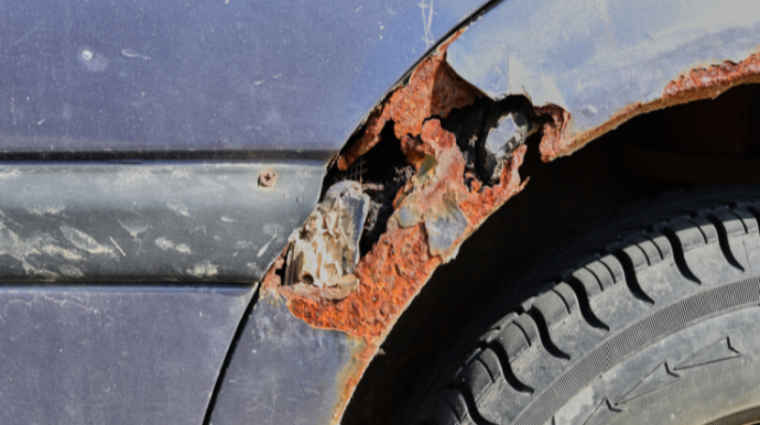 Avtomobili pasdan necə qorumaq olar? - MƏSLƏHƏTLƏR 