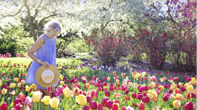 Mayda hava necə olacaq? 
