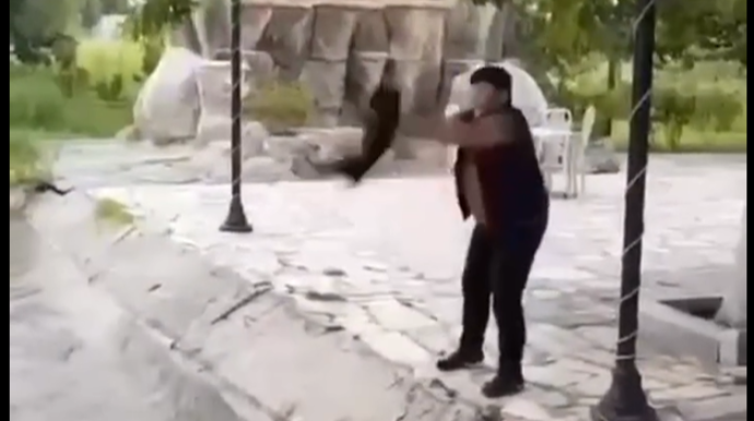 İti suya atanlarla bağlı araşdırmalara başlanılıb - VİDEO